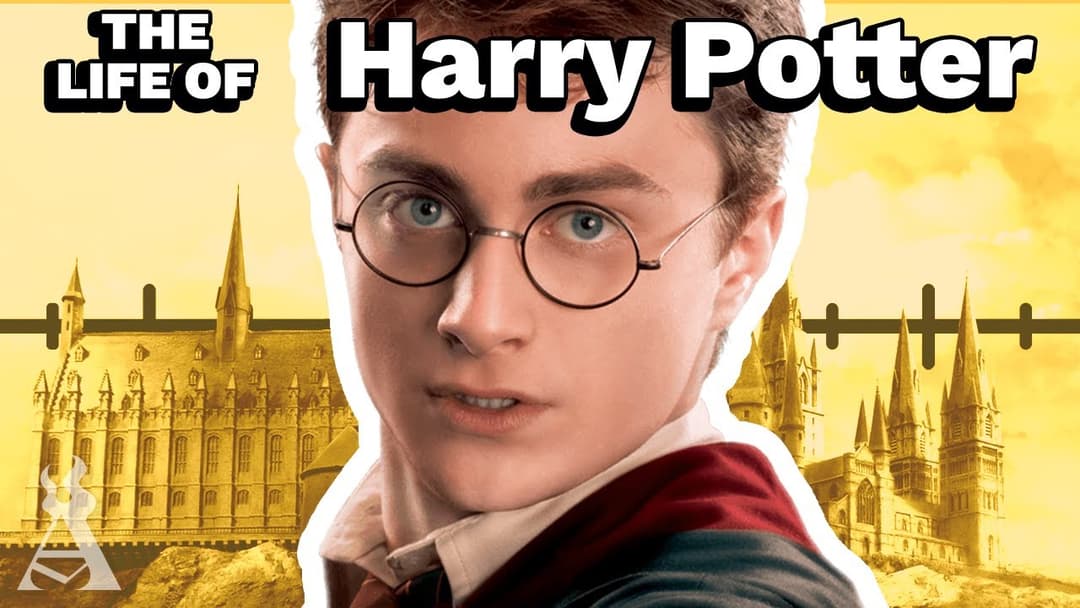 The Life Of Harry Potter (Harry Potter) Thumbnail