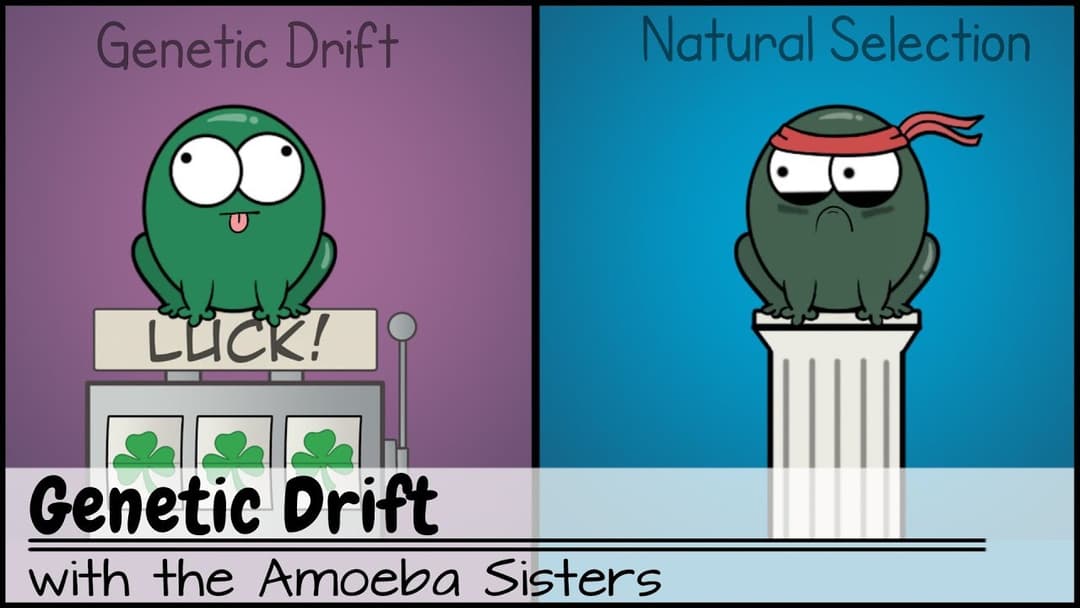 Genetic Drift Thumbnail