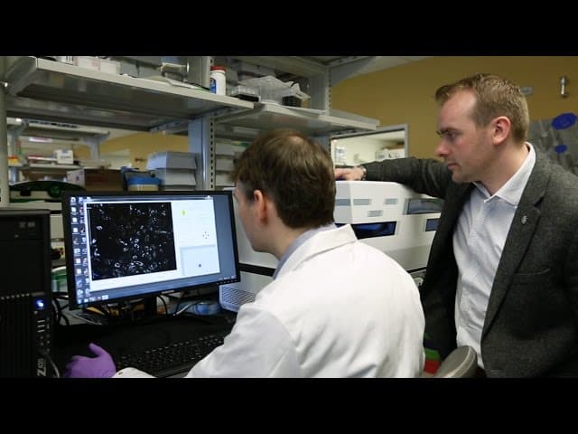 Investigating the Pharmacogenomics of Chemotherapy Toxicity Thumbnail