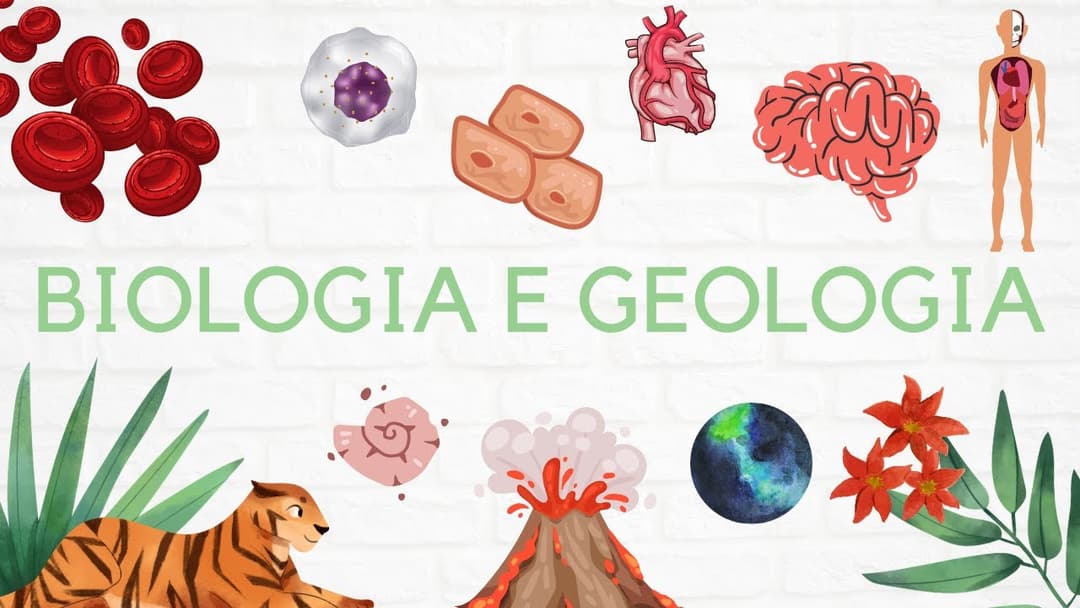 Biologia e Geologia 10º e 11º ano: Tudo o que precisas de saber! 🤓 (CURSO COMPLETO) Thumbnail
